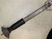 Rear shock absorber/damper