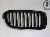 Front bumper lower grill