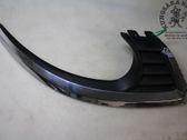 Front bumper lower grill