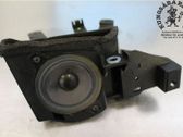 Rear door speaker