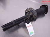 Front shock absorber with coil spring