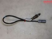 Lambda probe sensor