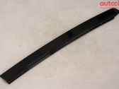Rear door trim (molding)
