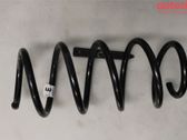 Front coil spring