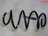 Front coil spring