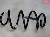 Front coil spring