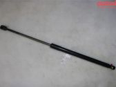 Front bonnet/hood damper/strut