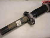 Front shock absorber with coil spring