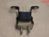 Tailgate/trunk/boot hinge