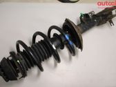 Front shock absorber with coil spring