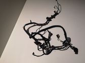 Front door wiring loom