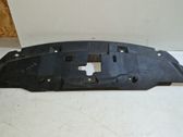 Radiator trim