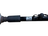 Rear shock absorber/damper