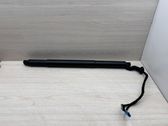 Tailgate/trunk strut/damper