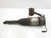 Stoßdämpfer hinten