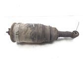 Rear shock absorber/damper