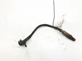 Lambda zondas