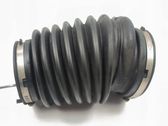 Tuyau de radiateur de chauffage