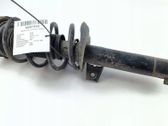 Front shock absorber/damper