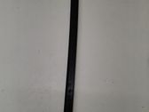 Front door trim (molding)