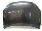 Motorhaube