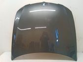 Motorhaube