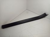 Front sill trim cover