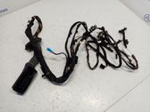 Front door wiring loom