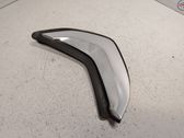 Rear door trim (molding)