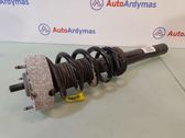 Front shock absorber/damper