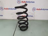 Front coil spring