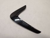 Fender trim (molding)