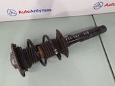 Front shock absorber/damper