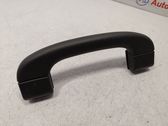 Front interior roof grab handle