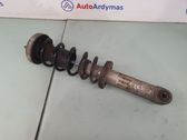 Rear shock absorber/damper