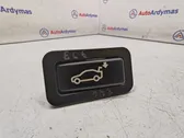 Tailgate/boot open switch button