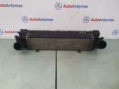 Intercooler radiator