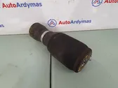 Rear air suspension bag/shock absorber