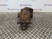 Rear differential