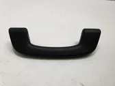 Front interior roof grab handle