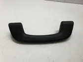 Front interior roof grab handle