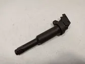 High voltage ignition coil