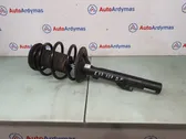 Front shock absorber/damper