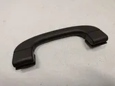 Front interior roof grab handle