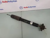 Rear shock absorber/damper