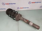 Front shock absorber/damper