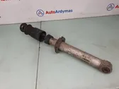 Rear shock absorber/damper