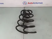 Rear coil spring