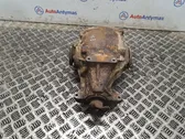 Rear differential