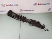 Rear shock absorber/damper